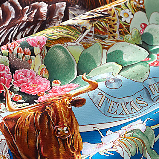 HERMESエルメス 鶏柄 ニワトリ シルク 大判スカーフ Faune et Flore du Texas forever scarf 90 | Hermès Mainland China